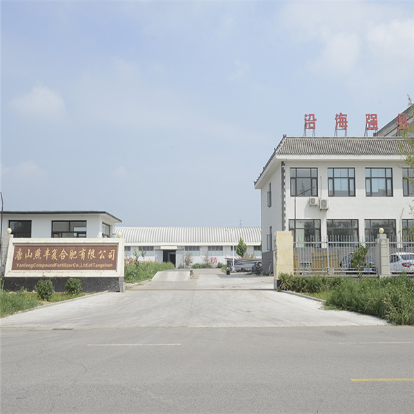 乐竞体育复合肥厂区门口