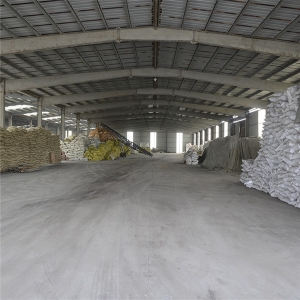 乐竞体育厂区一角